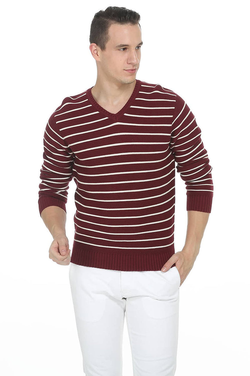 BASICS COMFORT FIT MENS V NECK SWEATER