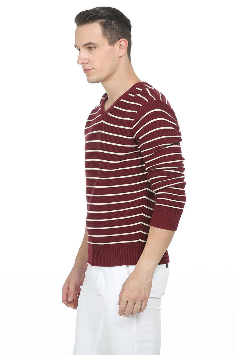 BASICS COMFORT FIT MENS V NECK SWEATER