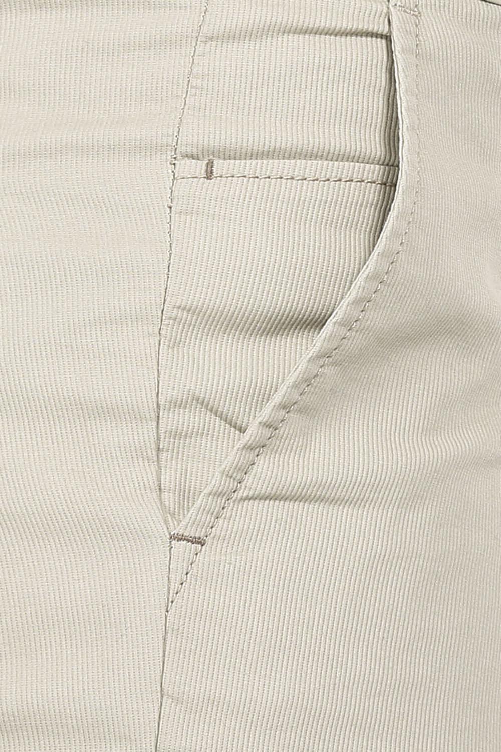 BASICS SLIM FIT CORD STRUCTURE TROUSER