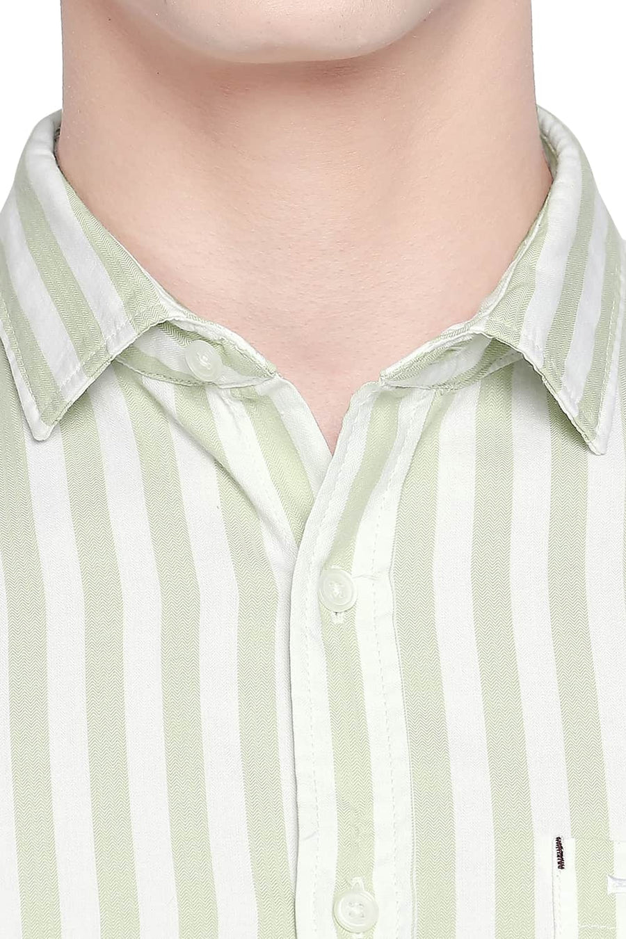 BASICS SLIM FIT ARCADIAN GREEN TWILL STRIPES SHIRT