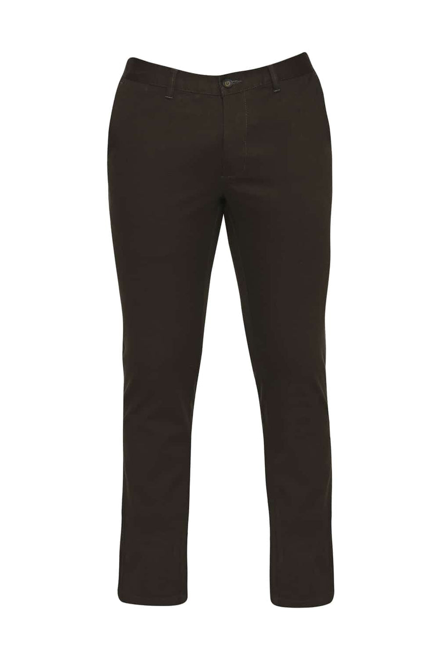 BASICS TAPERED FIT GRAPE LEAF OLIVE STRETCH TROUSER