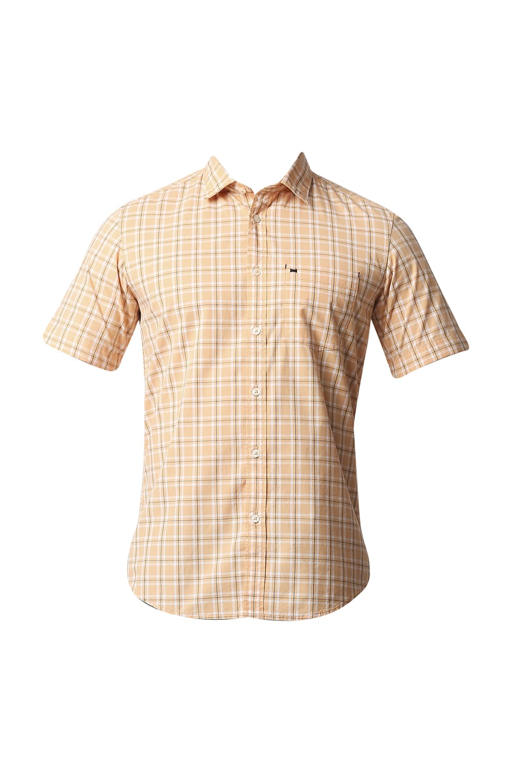 BASICS SLIM FIT CHECKS HALFSLEEVES SHIRT