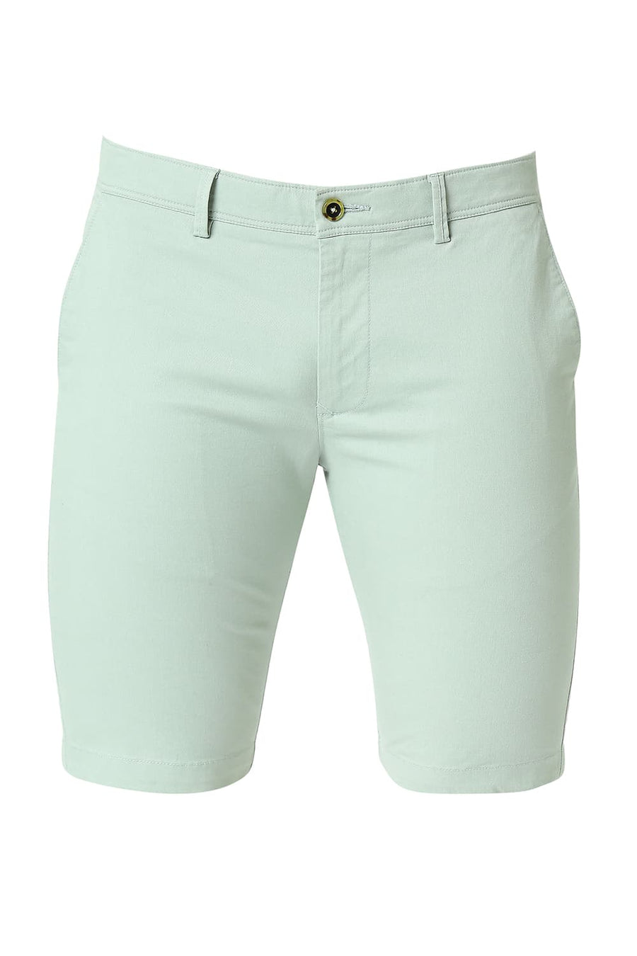 BASICS REGULAR FIT HARBOR GREEN COTTON STRETCH SHORTS