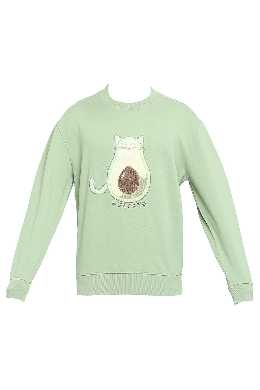BASICS COMFORT FIT ASPEN GREEN COTTON NON BRUSHED FLEECE PULLOVER SWEATSHIRT