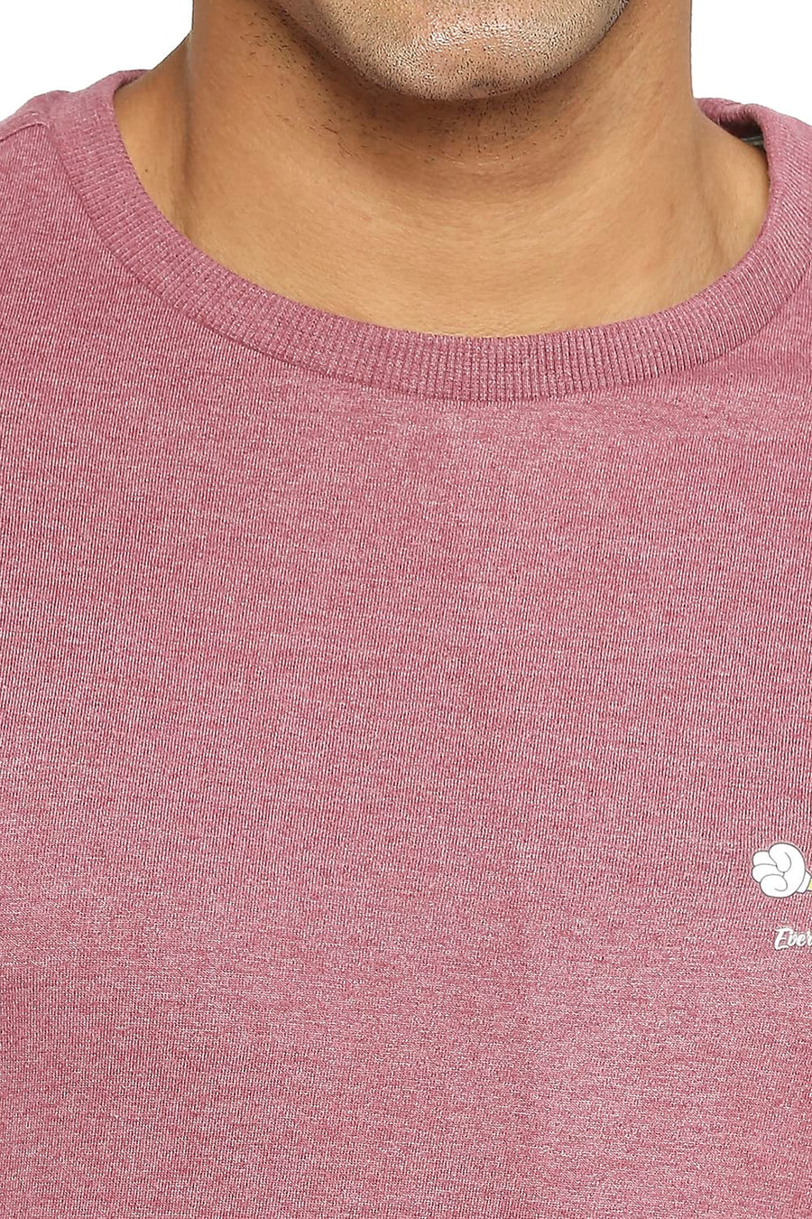 BASICS MUSCLE FIT RENAISSANCE ROSE CREW T-SHIRT