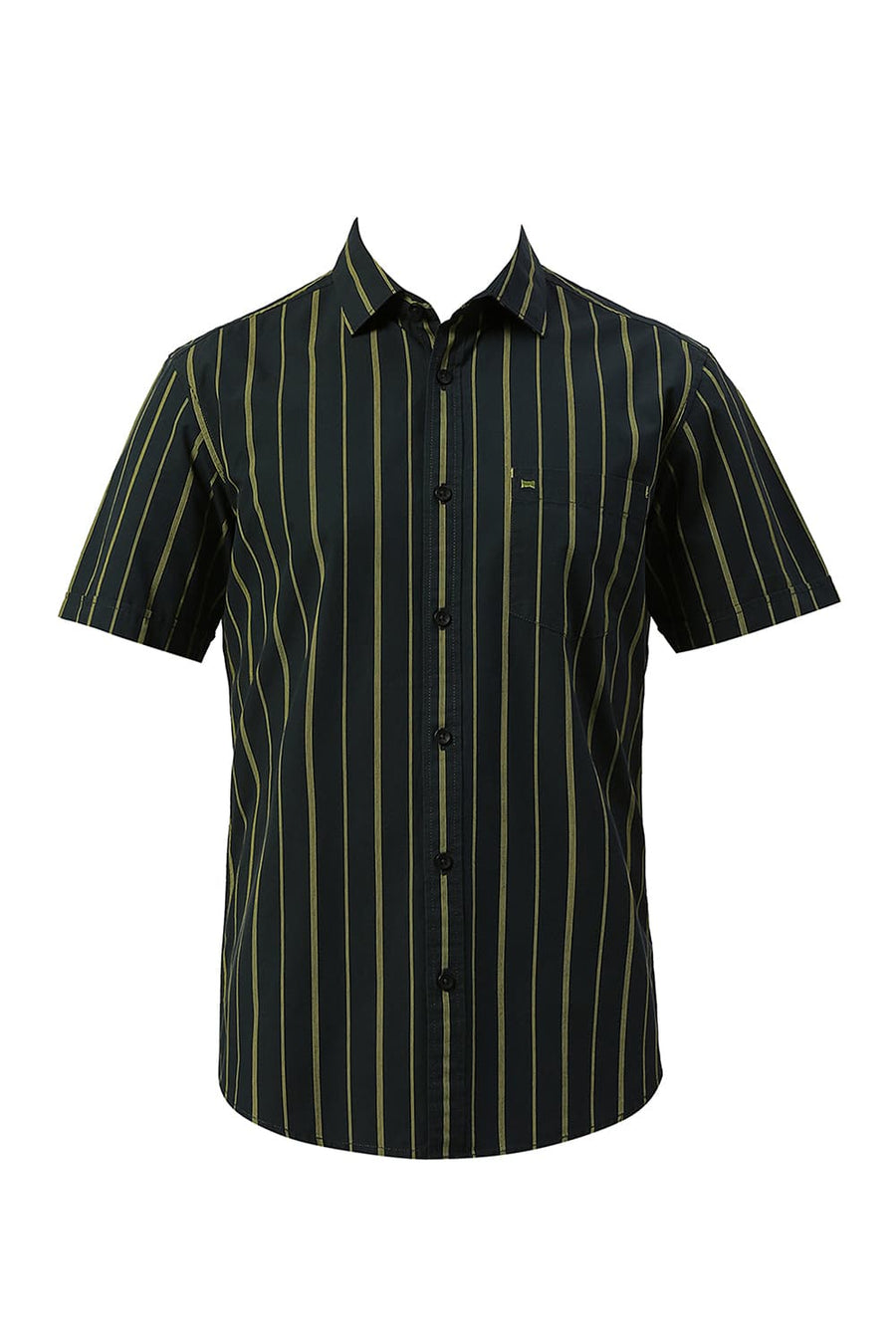 BASICS SLIM FIT FOREST GREEN COTTON STRIPE HALFSLEEVES SHIRT