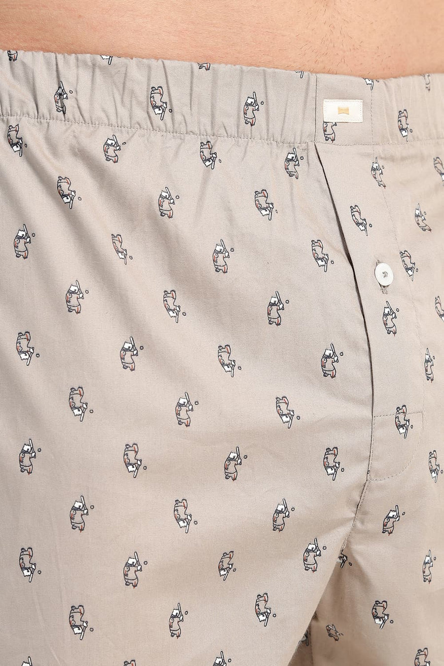 BASICS SLIM FIT STONE COTTON PRINTED BOXER SHORTS