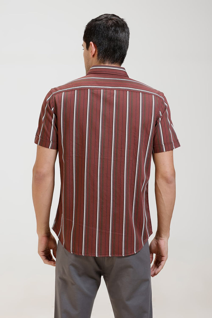 BASICS SLIM FIT RUSSET RED TWILL STRIPE HALFSLEEVES SHIRT