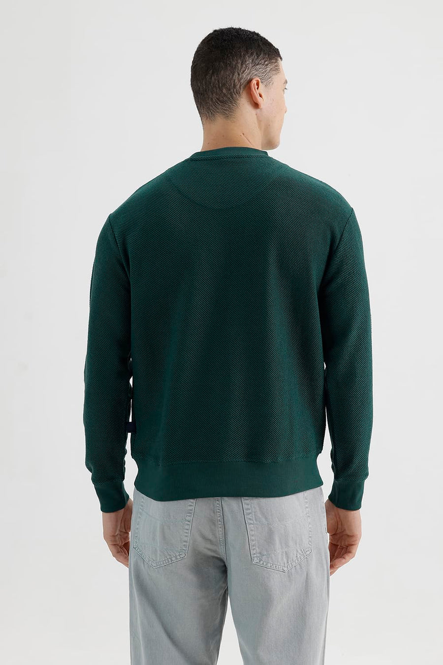 BASICS COMFORT FIT BISTRO GREEN COTTON CREW SWEART SHIRT