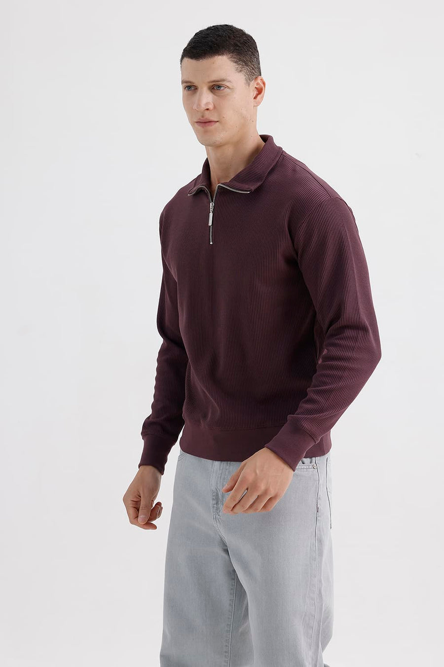 BASICS COMFORT FIT RAISIN COTTON HIGH NECK FULL ZIPPER SWEART SHIRT