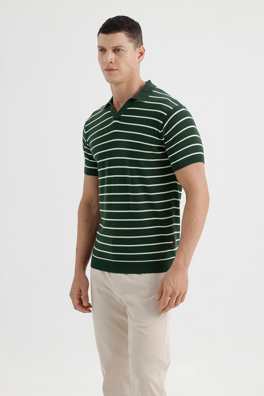 BASICS COMFORT FIT BOTANICAL GARDEN COTTON JOHNNY COLLAR STRIPE SWEART SHIRT