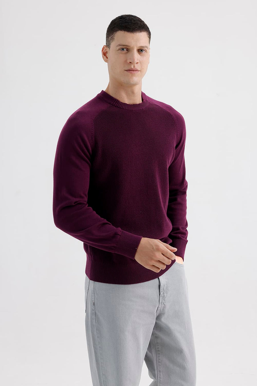 BASICS COMFORT FIT POTENT PURPLE COTTON CREW SWEART SHIRT