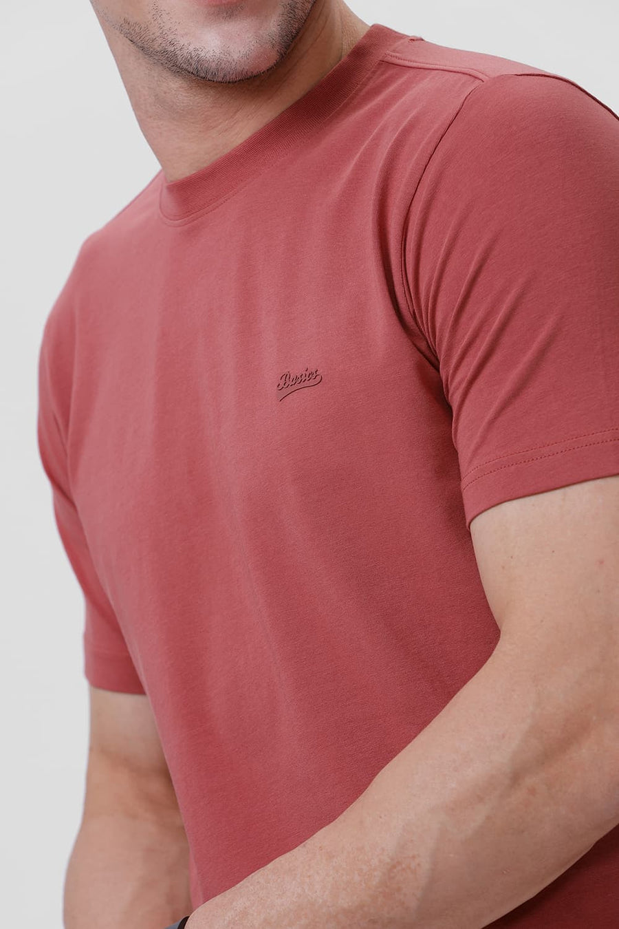 BASICS REGULAR FIT DUSTY CEDAR COTTON STRETCH CREW T-SHIRT