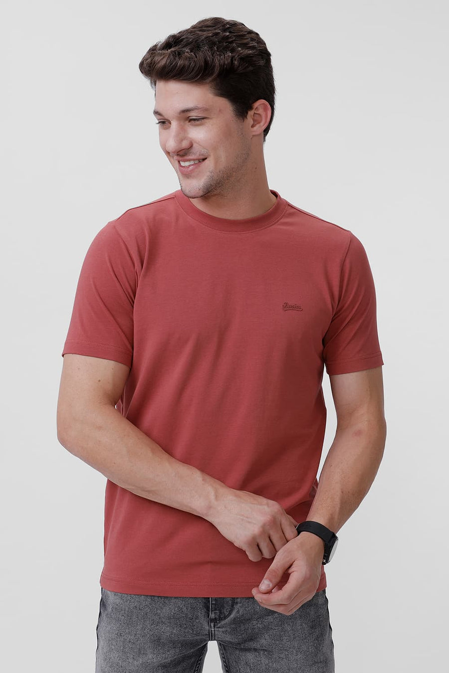 BASICS REGULAR FIT DUSTY CEDAR COTTON STRETCH CREW T-SHIRT