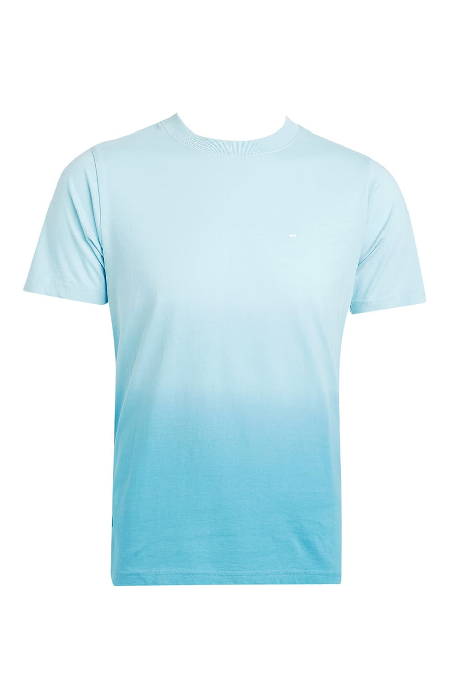 BASICS REGULAR FIT CRYSTAL BLUE COTTON CREW T-SHIRT