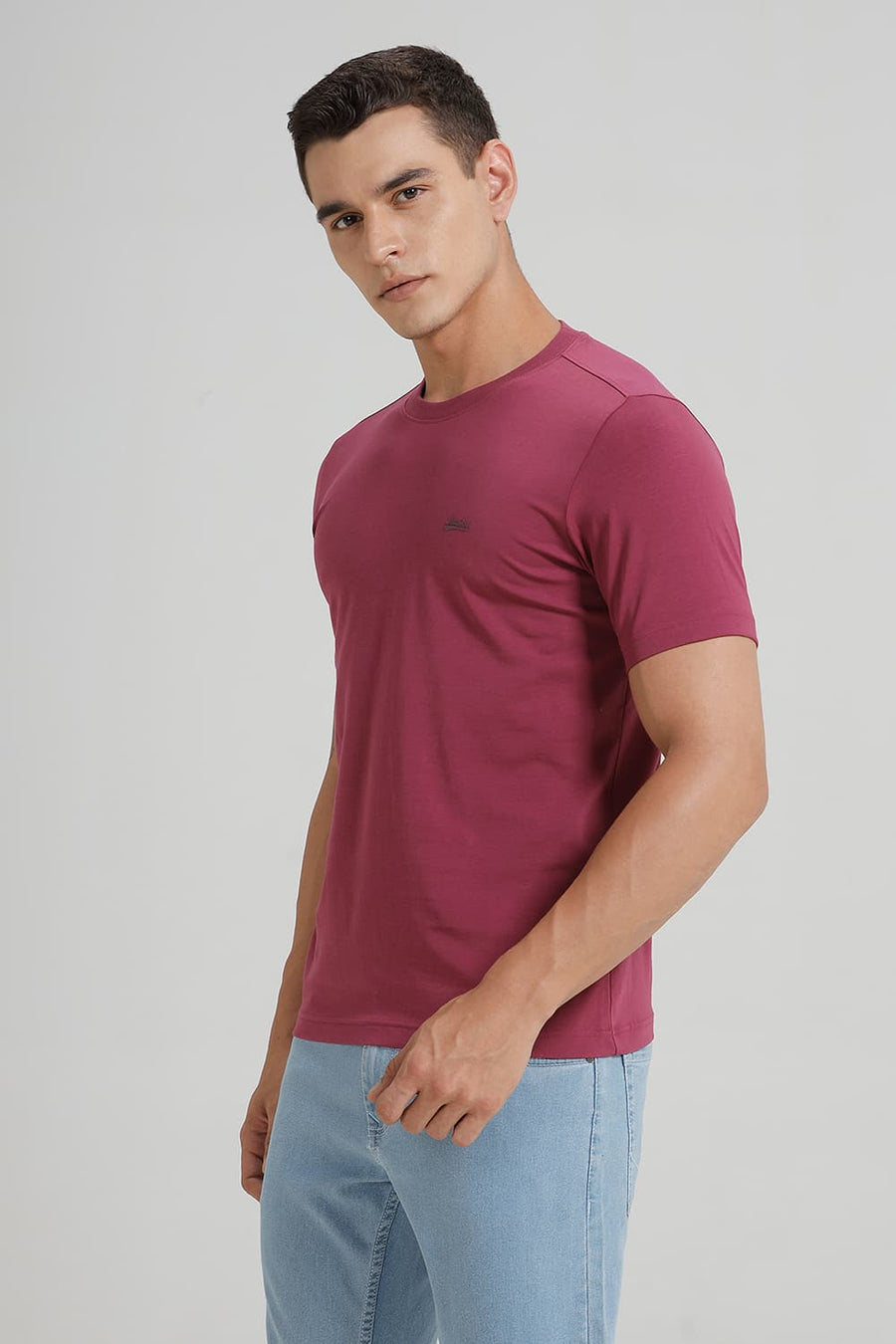 BASICS REGULAR FIT BOYSEN BERRY COTTON STRETCH CREW T-SHIRT