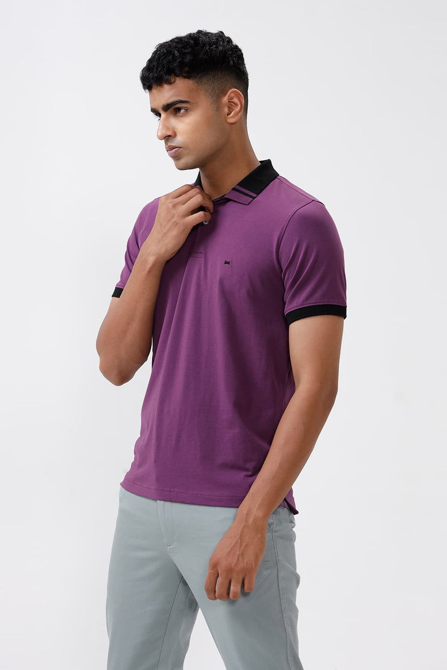 BASICS REGULAR FIT PLUM COTTON STRETCH POLO T-SHIRT