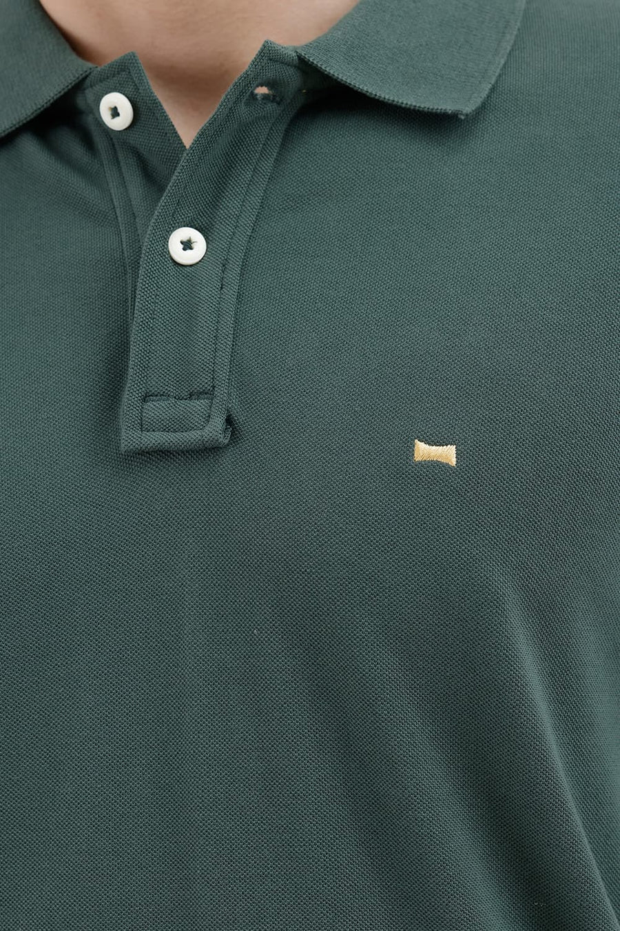 BASICS REGULAR FIT CILANTRO COTTON POLO T-SHIRT